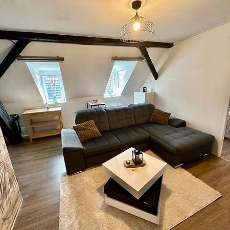Logement Entier Au Coeur De Страсбург Екстер'єр фото