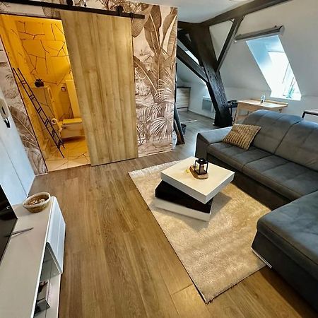 Logement Entier Au Coeur De Страсбург Екстер'єр фото