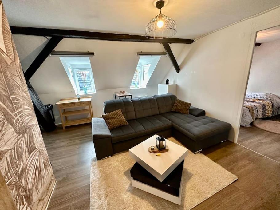 Logement Entier Au Coeur De Страсбург Екстер'єр фото