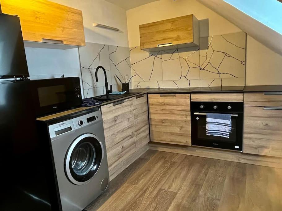 Logement Entier Au Coeur De Страсбург Екстер'єр фото