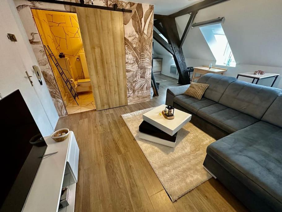 Logement Entier Au Coeur De Страсбург Екстер'єр фото